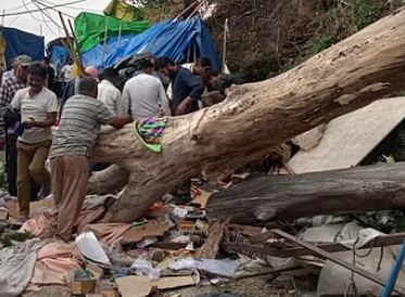 Almora: रानीखेत में उर्स मेले के दौरान गिरा पेड़, एक की मौत और आठ घायल